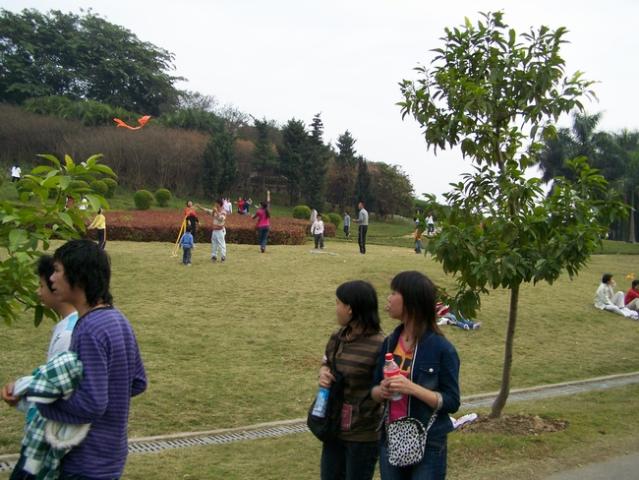 大夫山3
