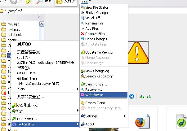 Start HG Web Server 