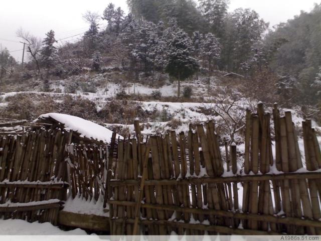 家鄉雪景
