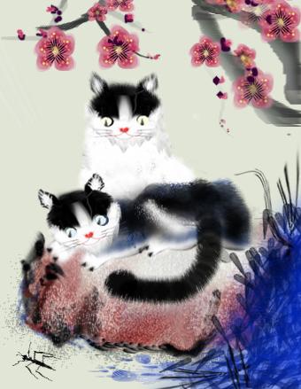 cat