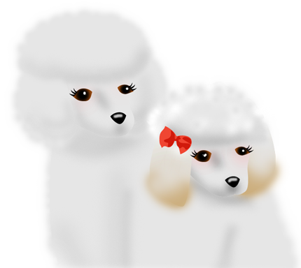 8.png