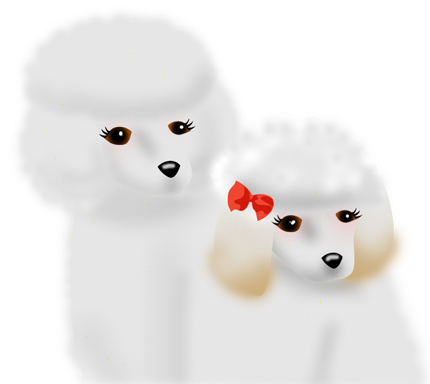 8_sig.png