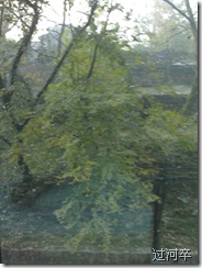 20071208227