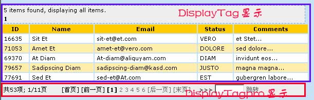 displaytagpro.jpg