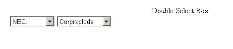 option2.jpg